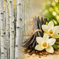 A bundle of dark vanilla beans tied with twine sits on a wooden surface beside pale yellow orchid flowers, with birch tree trunks on the left and a softly blurred forest background. Gives the feel for the scent of Candle Cocoon Vanilla Birch fragrance Oil.