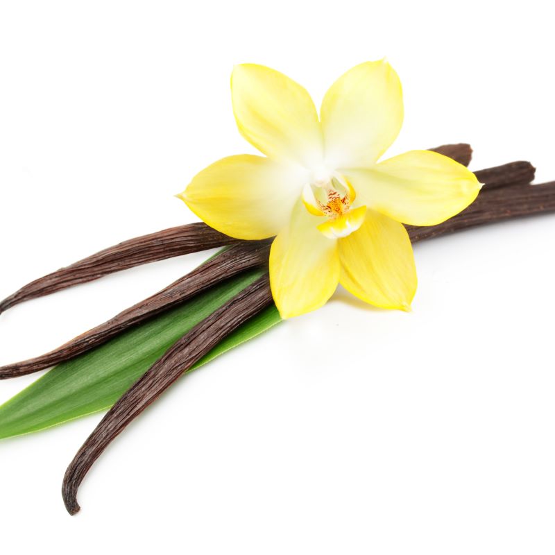 Vanilla Blossoms Fragrance Oil