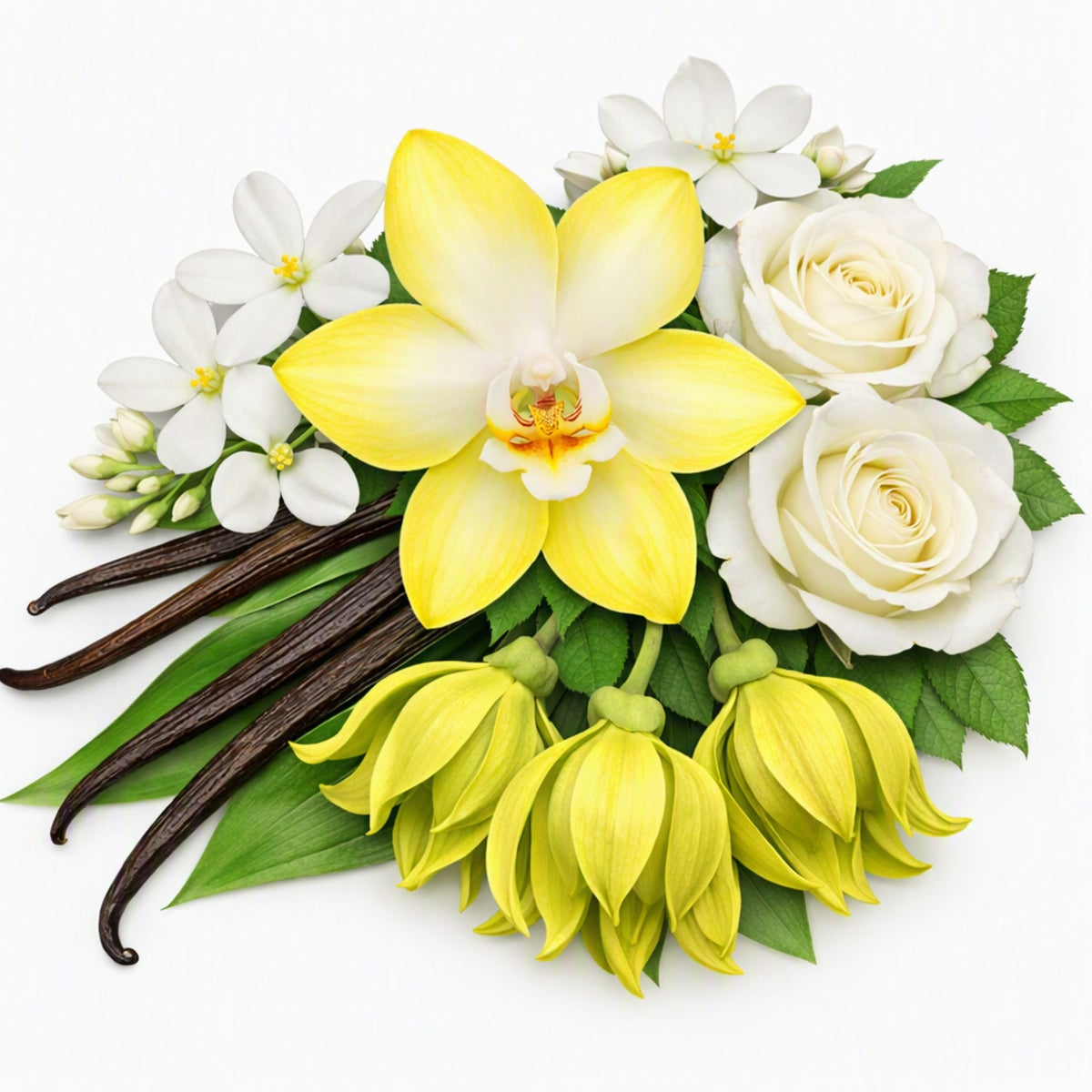 A floral arrangement featuring a large yellow orchid, white roses, small white jasmine flowers, pale yellow bell-shaped Ylang Ylang blossoms, green leaves, and dark brown vanilla beans on a clean white background. This is to give the idea of Northstar Vanilla Blossoms Fragrance Oil