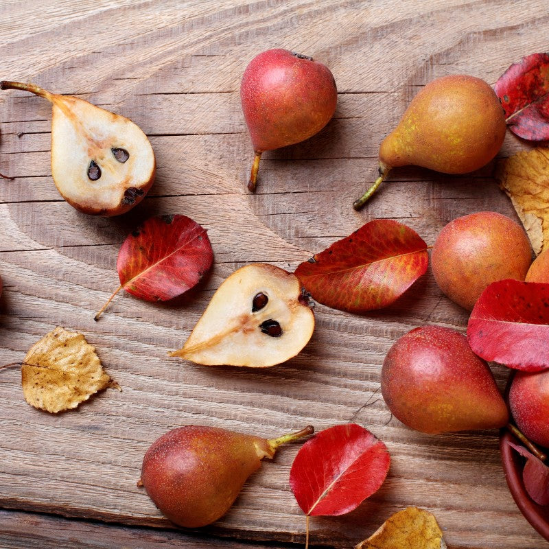 Warm pears and leaves