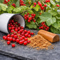 Fresh red currants spilling from a white enamel canister onto a dark stone surface, with a pile of sandalwood powder and a wooden scoop in front of a leafy currant bush. To feel the Wild Current and Sandalwood Fragrance Oil.
