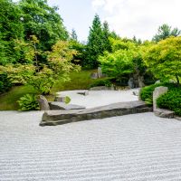 Zen Garden fresh citrus woody fragrance oil