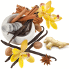 Ginger Orchid Fragrance Oil