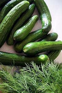 Cucumbers laid on a table that represents a candle scent