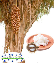 Babassu Oil - Organic