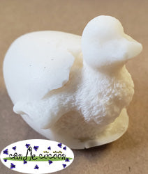 Duckling in Shell - Silicone Mold