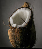 Opened Coconut showing the pure white center that is used to make coconut oil